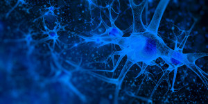 neuron-banner